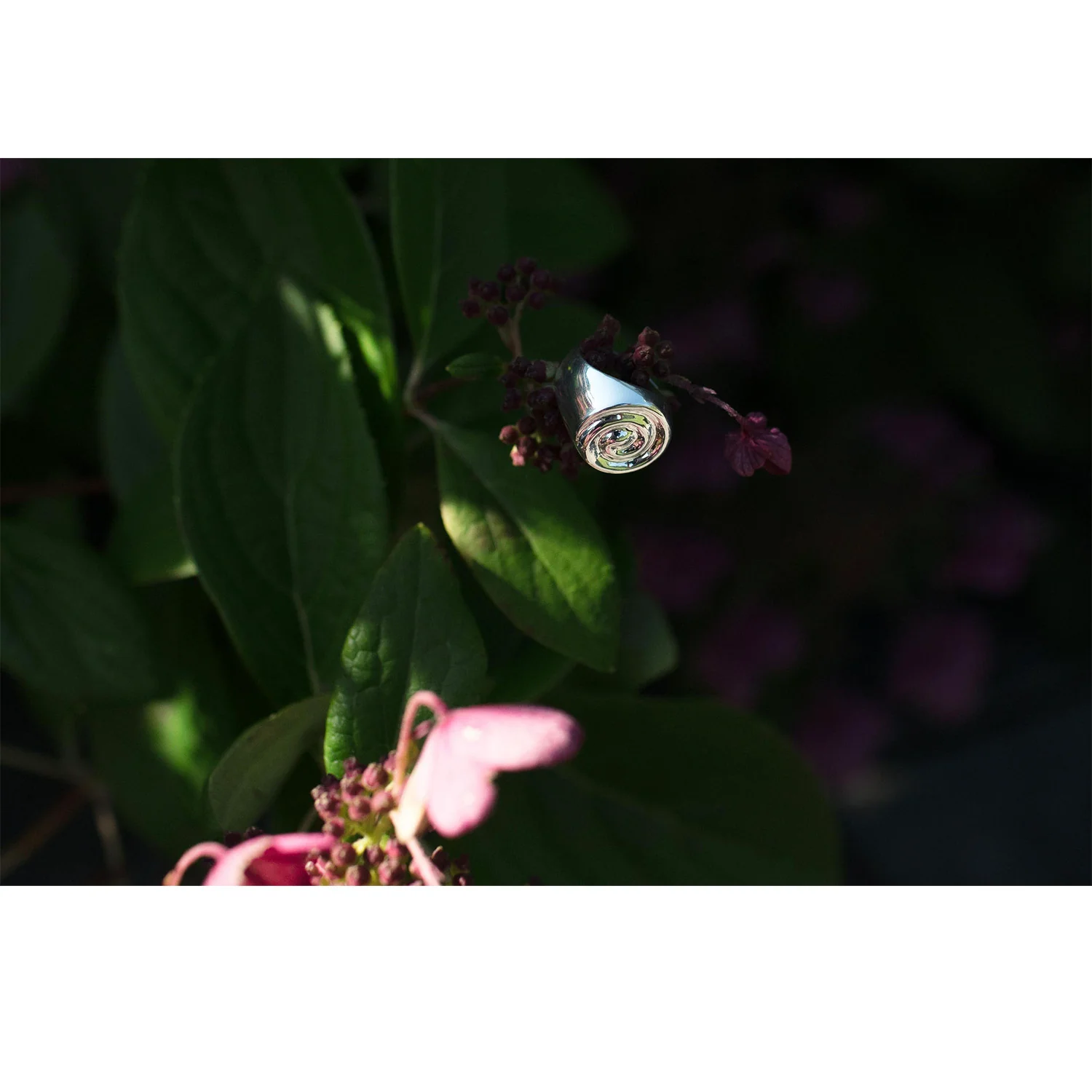 Nomia Spiral Signet Ring in Sterling Silver - Image 6