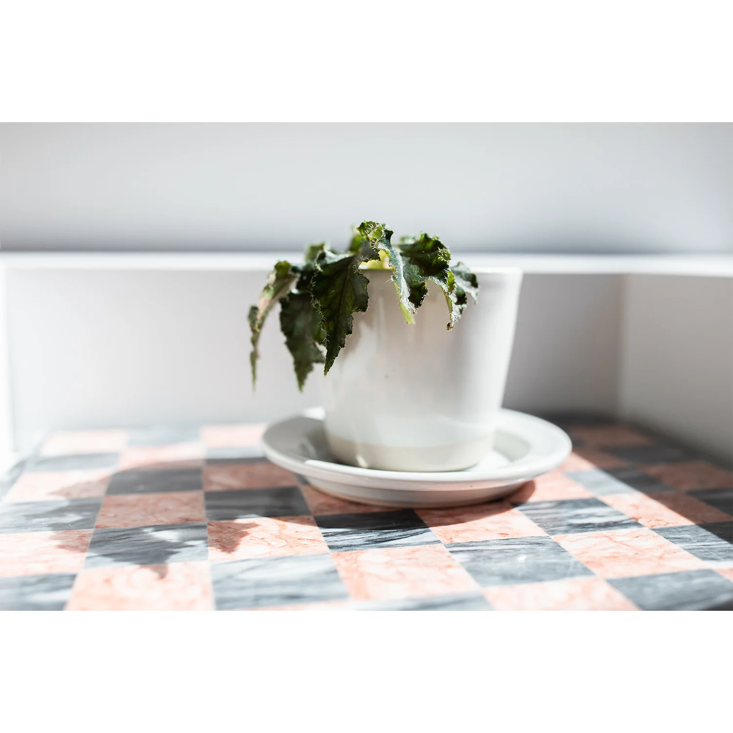 WRF Small Planter in White - Image 2